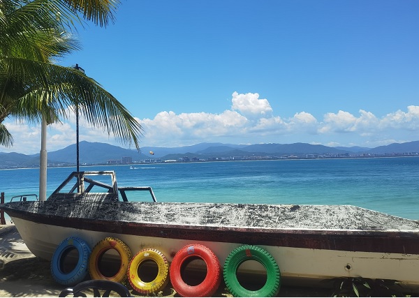 011659317630546263.jpeg 1.jpg