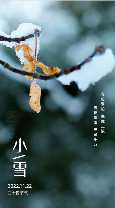 221669096168205767.jpeg 捕获.JPG