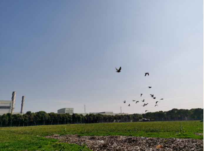 291672285021166737.png image.png