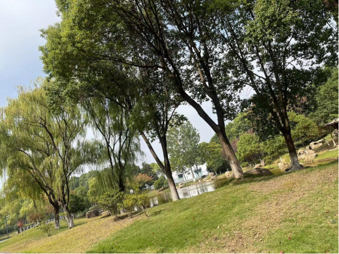 091691545102942982.png image.png